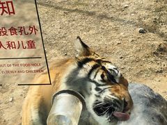 -济南野生动物世界