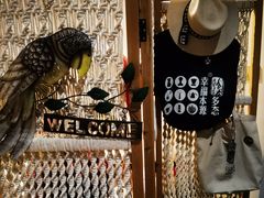 -参差咖啡(水果湖公园店)