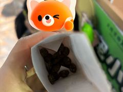 -大连圣亚海洋世界