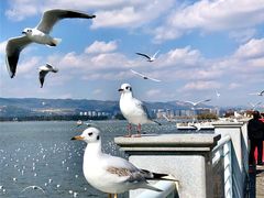 -海埂大坝