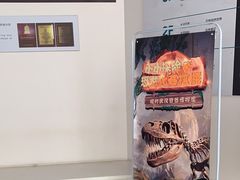 -长江文明馆