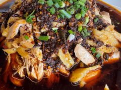 -铁山坪森林公园