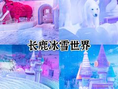 -长鹿旅游休博园