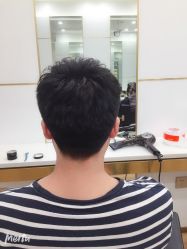 -YESIDO椰岛造型