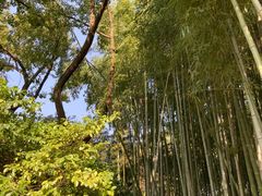 -汇龙潭
