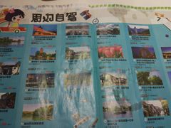 -春秋旅游航空(西藏路分部)