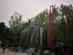 -合肥滨湖国家森林公园