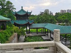 -桂湖森林公园