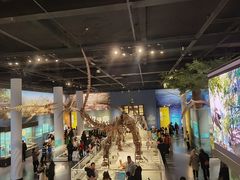 -国家自然博物馆