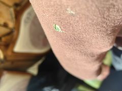 -草原塞蛮羊火锅城(港湾店)