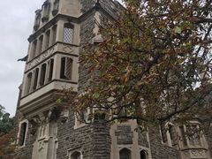 -普林斯顿大学