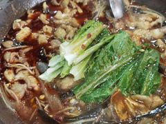 -都江堰石锅鱼
