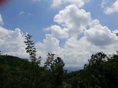 -广州白江湖森林公园