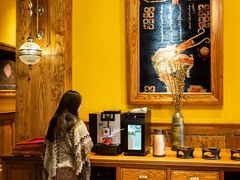 -松赞拉萨林卡酒店