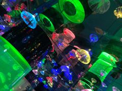 -沙沙哗啦海洋馆(华宇百花谷店)