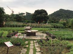 -清水湖度假村(罗浮山美食地标店)