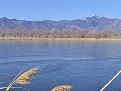 -野鸭湖国家湿地公园
