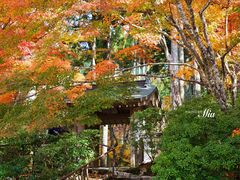 -三千院