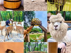 -南戴河国际娱乐中心