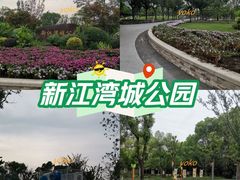 -新江湾城公园