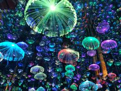 -梵高星空艺术馆(北京旗舰店)