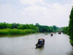 -溱湖国家湿地公园