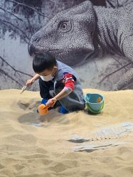 -恐龙探索乐园(磁器口店)