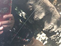 -鑫皇朝酒店(建设一路店)