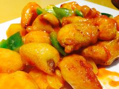 -素虎小呆鸟(西二旗店)
