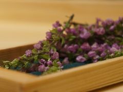 紫苏花-鮨青(恒基名人购物中心店)