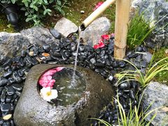 -徐家汇源景区-衡山坊
