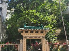 -香港大学