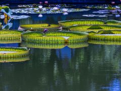 -国家植物园南园