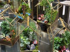 -弗劳尔花艺坊(龙涛店)