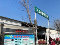 -王庄市场