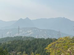 -白水寺森林公园