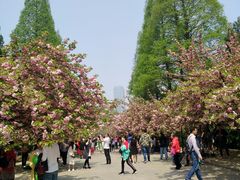 -中国科技大学-专家楼食堂