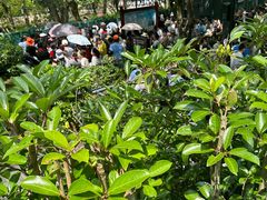-韶山毛泽东同志故居