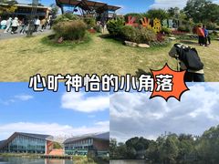 -上海长兴岛郊野公园