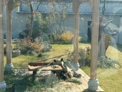 -无锡动物园·太湖欢乐园