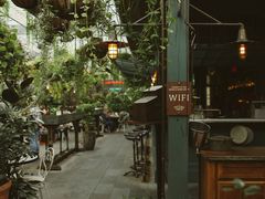 -The Grounds of Alexandria