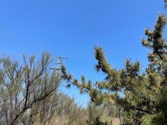 -养马岛旅游度假区