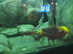 -福州罗源湾海洋世界旅游区