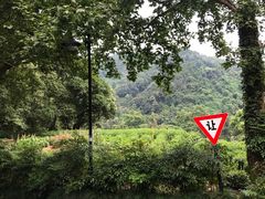 -龙井壹号·茶缘山景宴(龙井村店)
