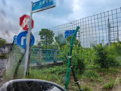 -南汇水蜜桃采摘(大团店)