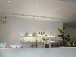 点击看大图 -WAVE SODA摄影工作室