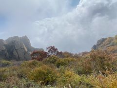 -白草畔自然风景区