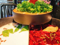 双拼锅底-湊湊火锅·茶憩(新中关购物中心店)
