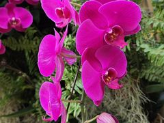 -北京植物园-展览温室