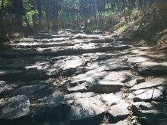 -阳台山自然风景区